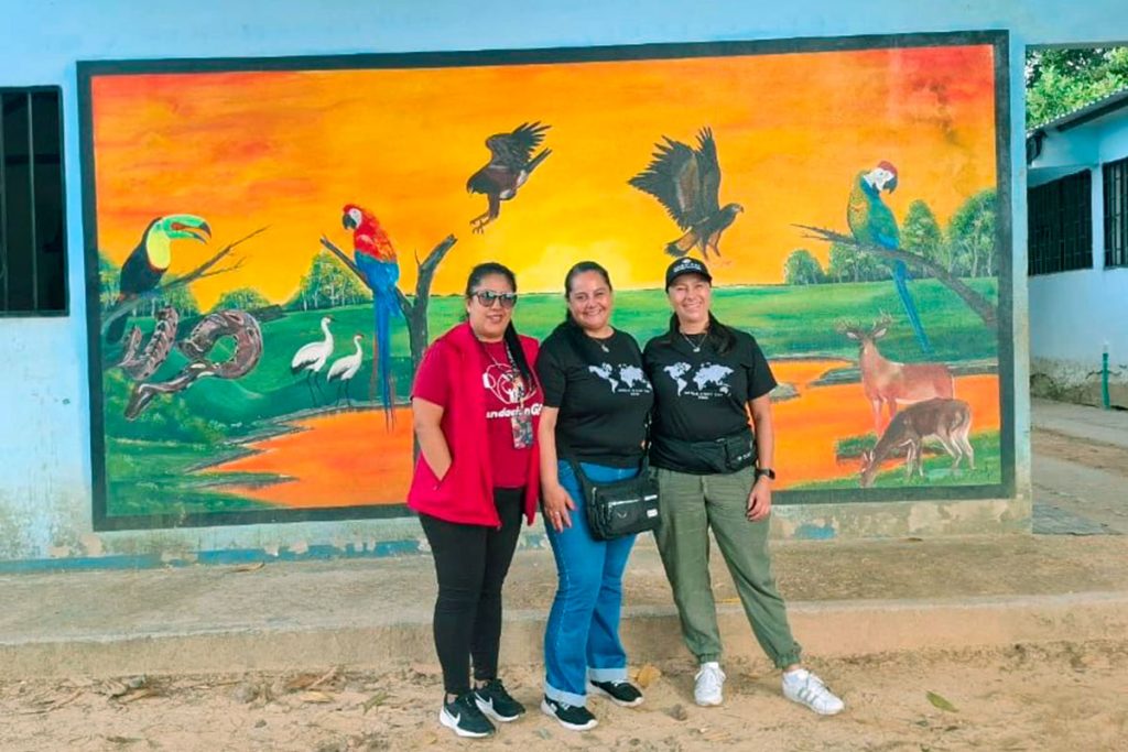 3galeria_esp2_vyo_111225